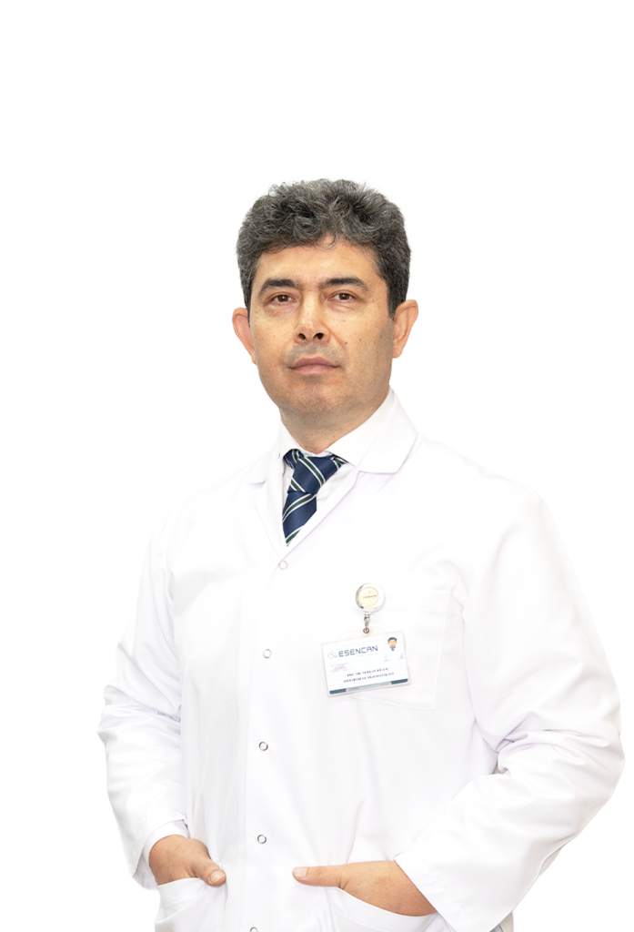 Assoc. Prof. Dr. Serkan Bilgiç