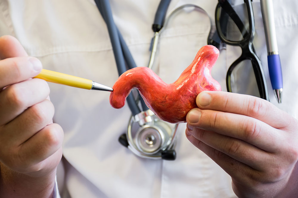 Gastroenteroloji Nedir?